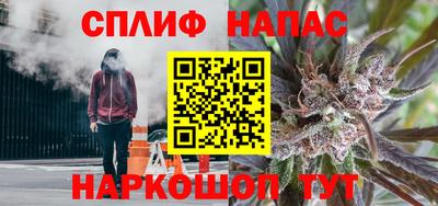 дмт Краснознаменск