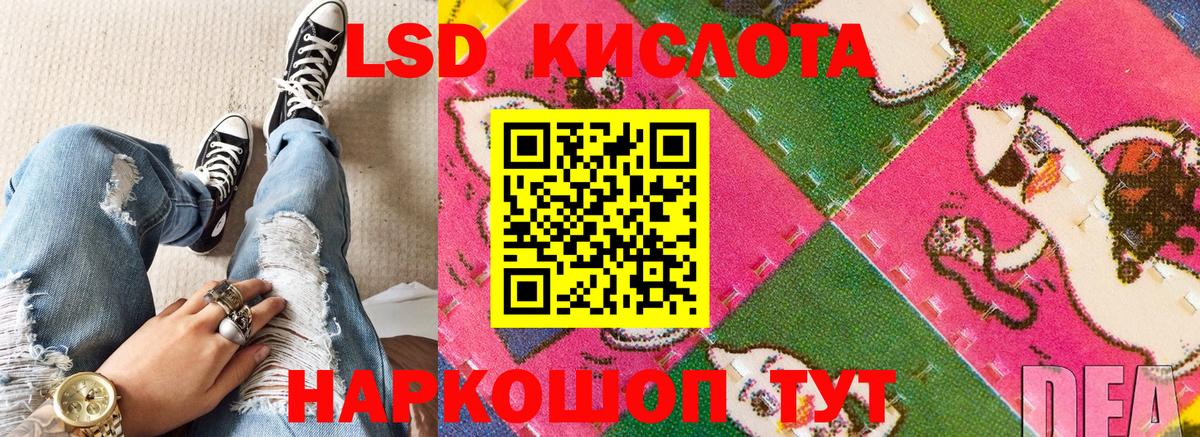 Кингисепп  Марки NBOMe 1,5мг  как найти   Вход с VPN 