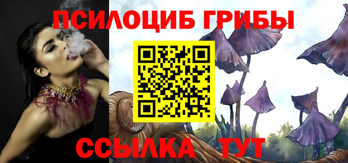Галлюциногенные грибы Magic Shrooms Кингисепп