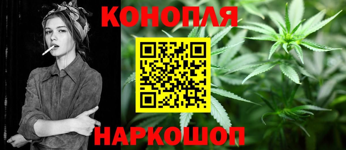 ГАШ Кингисепп